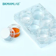 Chèn nuôi cấy tế bào